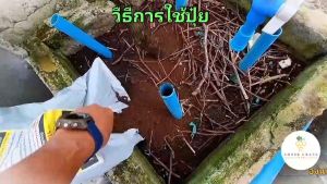 Amber grape farm ปุ๋ยผงน้ำหมักอินทรีย์-เคมี สูตร 1(P-OCG) เร่งการเจริญเติบโต ใช้กับพืช ไม้กระถาง ไม้ผล ทุกชนิด