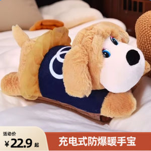 Explosive Proof Plush Hot Water Bottle for Women Rechargeable Warm Hand And Stomach Heating Pad Electric Warm Baby Cute Toy