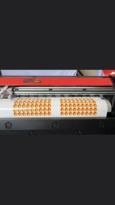 Waterproof Machine Cut Vinyl Stickers and Product Labels