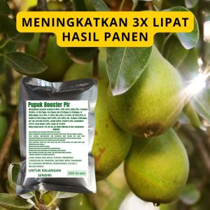 Pupuk Booster Pir: Memaksimalkan Hasil Panen Pir