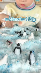 Polar animals Sensory play - โมเดลสัตว์ขั้วโลก ** พร้อมส่ง**