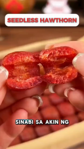 🔥Best Seller🔥Seedless Hawthorn Halal Dried Fruit Hawthorn Snack Buah Hawthorn/Ready-to-Eat Nonnuclear Preserved Fruit/Sweet and Sour Appetizing Snack精选蜜饯无核山楂空心山楂果 山楂干