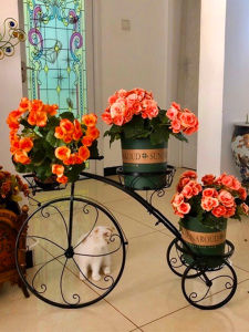 Elegant Multilevel Bicycle-Style Iron Flower Rack