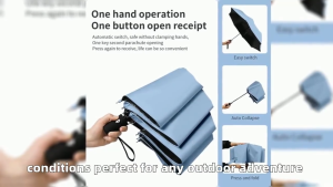 Windproof 8-Rib UV-Blocking Compact Umbrella – Strong Wind-Resistant Automatic Push Button Open and Close Block Harmful Sun Rays and Rain