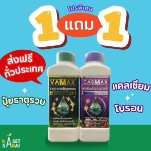 CABMAXแคลเซียมโบรอน+ VAMAX ปุ๋ยธาตุรวม ปลอดภัย 100% ขึ้นทะเบียนจากกรมวิชาการเกษตร ส่งฟรี