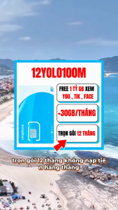 ( GIÁ RẺ ) Sim 5G Vinaphone 12YOLO100M - 1GB/Ngày (30GB/Tháng) + Miễn Phí You Tik Face- Trọn Gói 12 Tháng - Chuyên Lắp Xe Ô Tô - FREESHIP - CHƯA KÍCH HOẠT