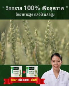 เซ็ทคู่ 2 แถม 2 ( 4 กระปุก)วีทกราส คลอโรฟิลล์ & เพียวคอลลาเจน แบรนด์ ยูมิโกะ - ส่งฟรี