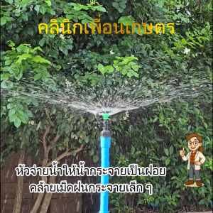318-D ( 1-5 อัน ) สปริงเกอร์ สายฝน 3 in 1 เกลียวใน ใส่ได้ทั้ง 4 หุน และ 6 หุน สปริงเกอร์สายฝน ระบบน้ำ รดน้ำต้นไม้ กนกโปรดัก