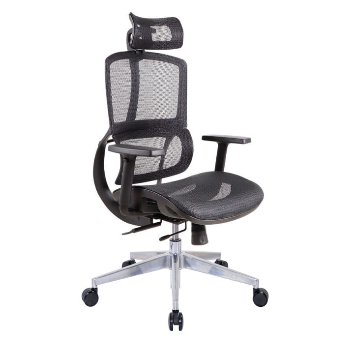 Furnitura Ergo Zeta Ergonomic Mesh Chair Adjustable Arm Chair