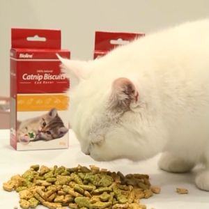WHL 100% Natural Catnip Biscuit for Cats and Kittens 80g Cat Food Bioline 猫薄荷饼干