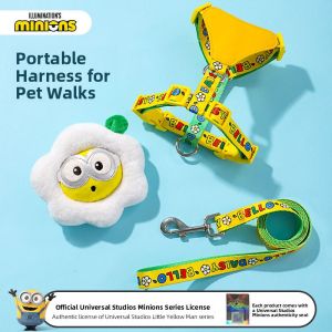 HOOPET | Vest Style Dog Leash for Small and Puppy Dogs