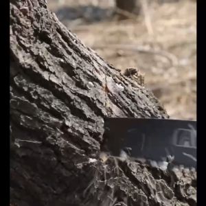 Gergaji Kayu Gergaji Lipat Gergaji Baja Keras Folding Hand Saw Portable