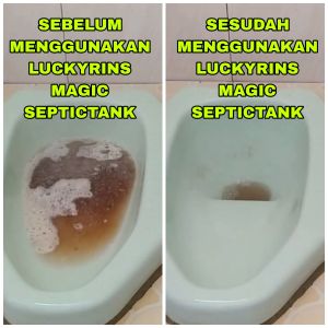 SERBUK AJAIB UNTUK WC MAMPET PALING AMPUH