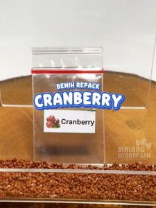 Benih Cranberry Merah Unggulan berkualitas biji bibit repack cranberi cran kran berry bery berri beri hydroponik hidroponik tanaman berbiji pot