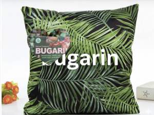 หมอนเขียว