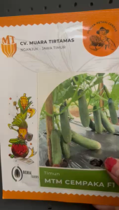 Benih Timuh MTM CEMPAKA F1 HIBRIDA BORA SEED