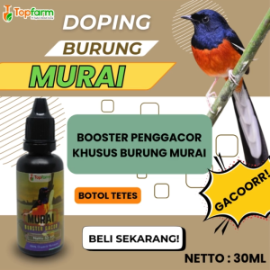 BOOSTER PENGGACOR KHUSUS MURAI dari TopFarm