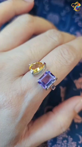 Ametrine Titanium Adjustable Ring