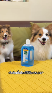 เดทตอล ไฮยีน มัลติ-ยูส ดิสอินแฟคแทนท์ เฟรช คอตตอน บรีซ 750 มล. x 1Dettol Hygiene Multi-use Disinfectant Fresh Cotton Breeze 750ml. x 1