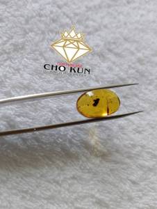 รอบที่-2 ก-25 อำพันแบบมีดอกสวยงามแบบธรรมชาติ อำพันแท้ 100%