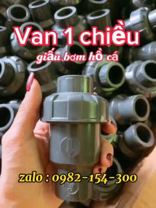Van 1 Chiều Giấu Bơm Hồ Cá Cho Lọc Tràn Trên