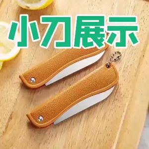 Dao Gọt Trái Cây Gấp Bằng Thép Không Gỉ Có Dụng Cụ Mở Chai Dùng Cho Nhà Bếp Dã Ngoại Cắm Trại Sử Dụng Hàng Ngày