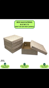 Box Nasi Kotak Dus 18X18 Dus Nasi 18x18 (Isi 20 Pcs-BB4K35)
