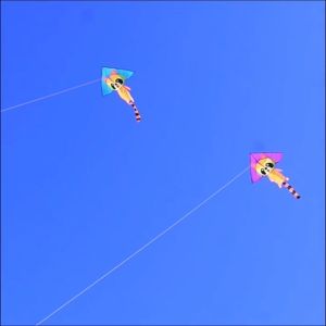 (📌ราคาพิเศษ) ว่าว ว่าวแรคคูน ขนาด 1.4 เมตร หางยาวน่ารัก ไม่ซ้ำใคร พร้อมส่ง แถมเชือก 50 เมตร