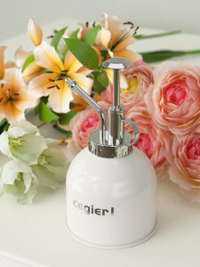 Cegier Hand-Pressed Spray Bottle for Watering Flowers And Plants Long Nose Stainless Steel for Indoor Gardening And Succulents