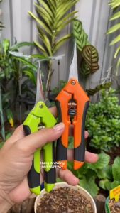 KC04B - Kéo mũi nhọn cắt tỉa cành thép không gỉ có nút chốt khóa mở xài êm tay gọn nhẹ