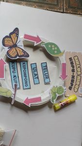 DIY Crafting Model Siklus Hidup Hewan Ide Prakarya Anak SD Diorama Maket Sains Kerajinan Tangan