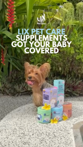 LIX Pet Care 100% Wild Salmon Oil for Dogs & Cats - Boosts Immunity Reduces Shedding Improves Coat Shine Heart & Joint Support
