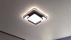 80W Nordic Ceiling Light: A Modern Design LED Chandelier