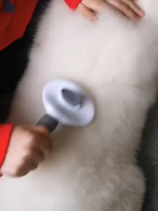 Pet Grooming Sisir Pet Grooming Brush Sisir Grooming Anjing Kucing