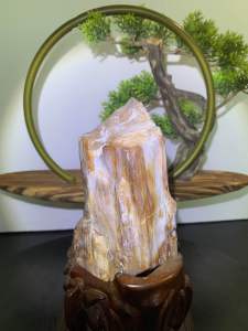TSK Crystal SHY027 天然树化玉 黄里透白 色泽圆润 特制雕刻实木底座 Natural Tree Fossil Jade