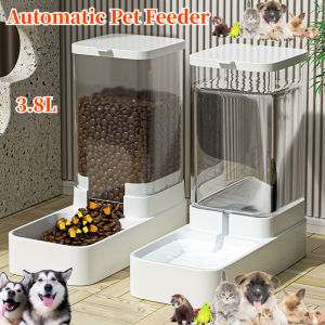 Dog Feeder Cat Automatic Feeding Water Bowl Transparent Pet Food Storage Dispenser Container Puppy Kitten Accessories