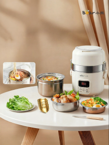 [China Plug Adapter Needed] Bear | Electric Rice Box with Insulation Cooking Heating and Steaming Functions