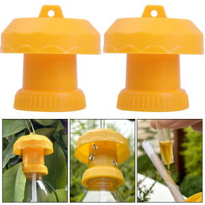 6*6ซมนักฆ่าที่ดักแมลงวันผลไม้พลาสติกสีเหลืองแมลงหวี่เครื่องดักแมลงวันควบคุมแมลงสัตว์รบกวนสำหรับบ้านไร่