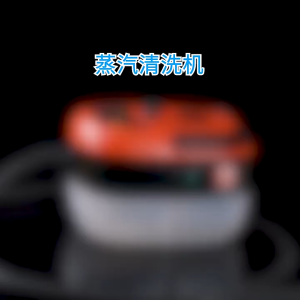 4500w Potable Steam Cleaner Handheld Spot Steamer Clean For Cloth Mattress Aircon Sofa Washer Cleaning Bed Windows Machine with 12 Tools 蒸汽清洁机