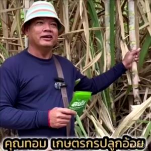 ล้นไร่⭐️สูตรระเบิดหัวมัน⭐️สารเสริมประสิทธิภาพพืชทุกชนิด 10 กรัม🔥1 ซองใช้ได้ 20 ไร่ ผสมน้ำ 800 ลิตร🔥 ของแท้ 100%