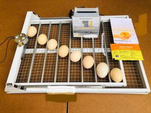 Máy Ấp Trứng Ánh Dương Đảo Tự Động 56 Trứng- máy ấp trứng gà đảo tự động