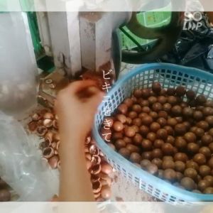 TIÊU SỌ TRẮNG HỮU CƠ 100G
