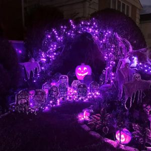 USB Purple LED Copper Wire String Lights 100 LED Holiday Party Wedding Birthday Halloween Room Bedroom Window Decorative Lights