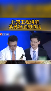 Organic Cold - Pressed Perilla Seed Oil 135ml - 100%Natural - Rich in Omega-3 - Boosts Immunity Anti- Inflammatory & Supports Healthy Skin