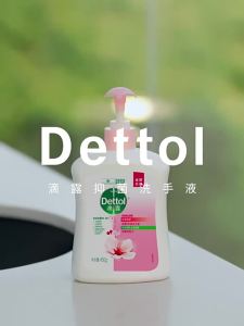 Dettol | Antibacterial Home Hand Wash 500g 2 Bottles
