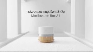 Breo Moxibustion Box รุ่น A1 กล่องรมยาสมุนไพรบำบัด ปรับสมดุลร่างกาย - สำหรับการปรับเปลี่ยนร่างกาย