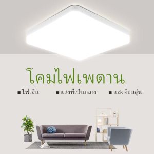 ไฟเพดาน LED ให้บริการ 220V สำหรับห้องนอน ห้องครัว ห้องนั่งเล่นแขวน โคมระย้า เพดานโคม 2 สมัยสำหรับการใช้งานที่ดี