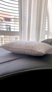 Combo 2 Gối Nằm Bông Gòn Cao Cấp Họa Tiết Vương Miện Sang TrọngÊm Ái Dễ Chịu Sz 40x60cm Và 50x70cm