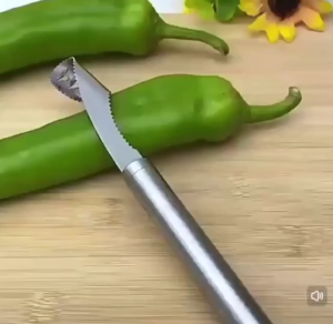 Alat Pengorek Sayur Stainless Steel Vegetable Corer Tool Chili Pepper Bitter Gourd Seed Remover