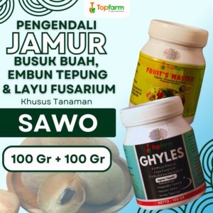 Solusi Terbaik untuk Menangani Masalah Pohon Sawo: Fungisida Topfarm